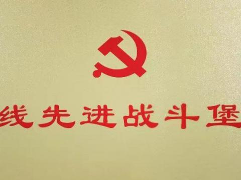 菠菜担保网电气集团行政党支部荣获“扬中市一线先进战斗堡垒”
